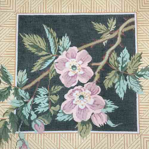 Lee Chrysanthemum Canvas