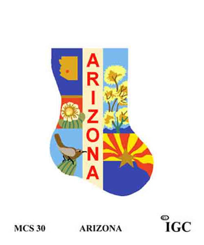 In Good Company Arizona Mini Sock